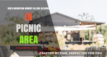 Mountain Winery Picnic Area Alcohol Policy: What You Need to Know