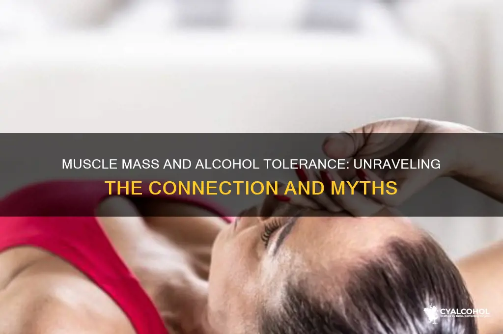 does muscle mass increase alcohol tolerance