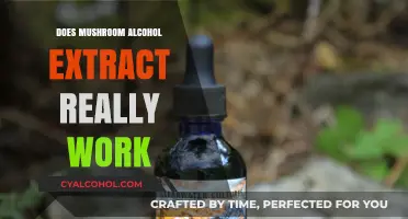 Mushroom Alcohol Extract: Unveiling Its Efficacy and Real-World Benefits