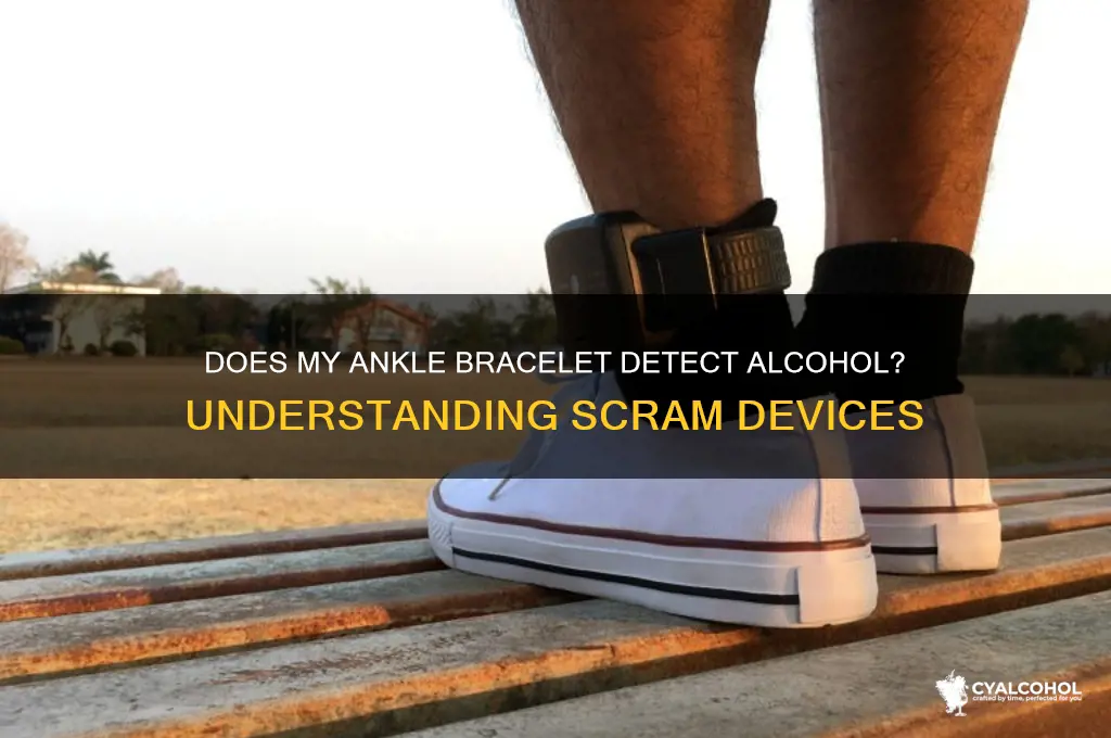 does my ankle bracelet detect alcohol