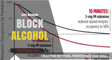 Naloxone and Alcohol: Does It Block Effects or Interact Differently?