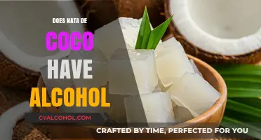 Nata de Coco and Alcohol: Unraveling the Fermentation Mystery