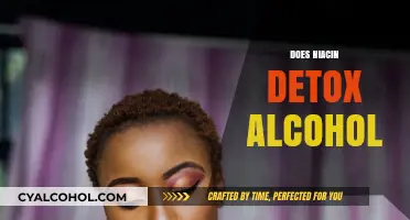 Niacin for Alcohol Detox: Fact or Fiction? Exploring the Science