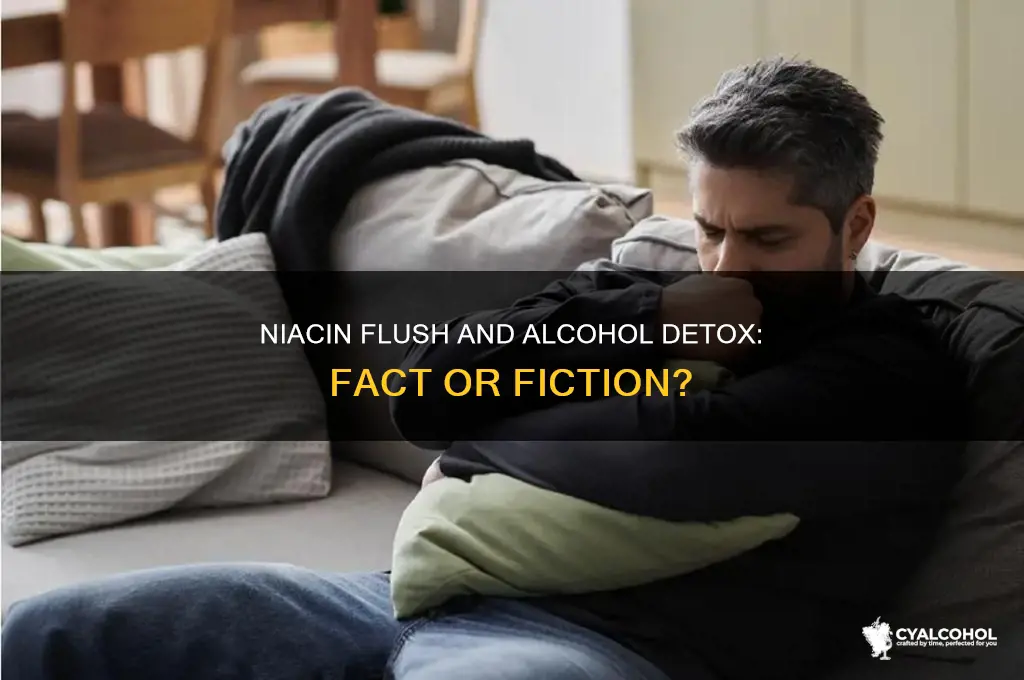 does niacin flush alcohol out of your system