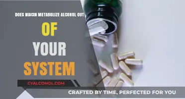 Niacin and Alcohol Metabolism: Fact or Fiction in Detox Claims?