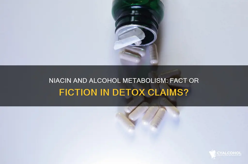 does niacin metabolize alcohol out of your system