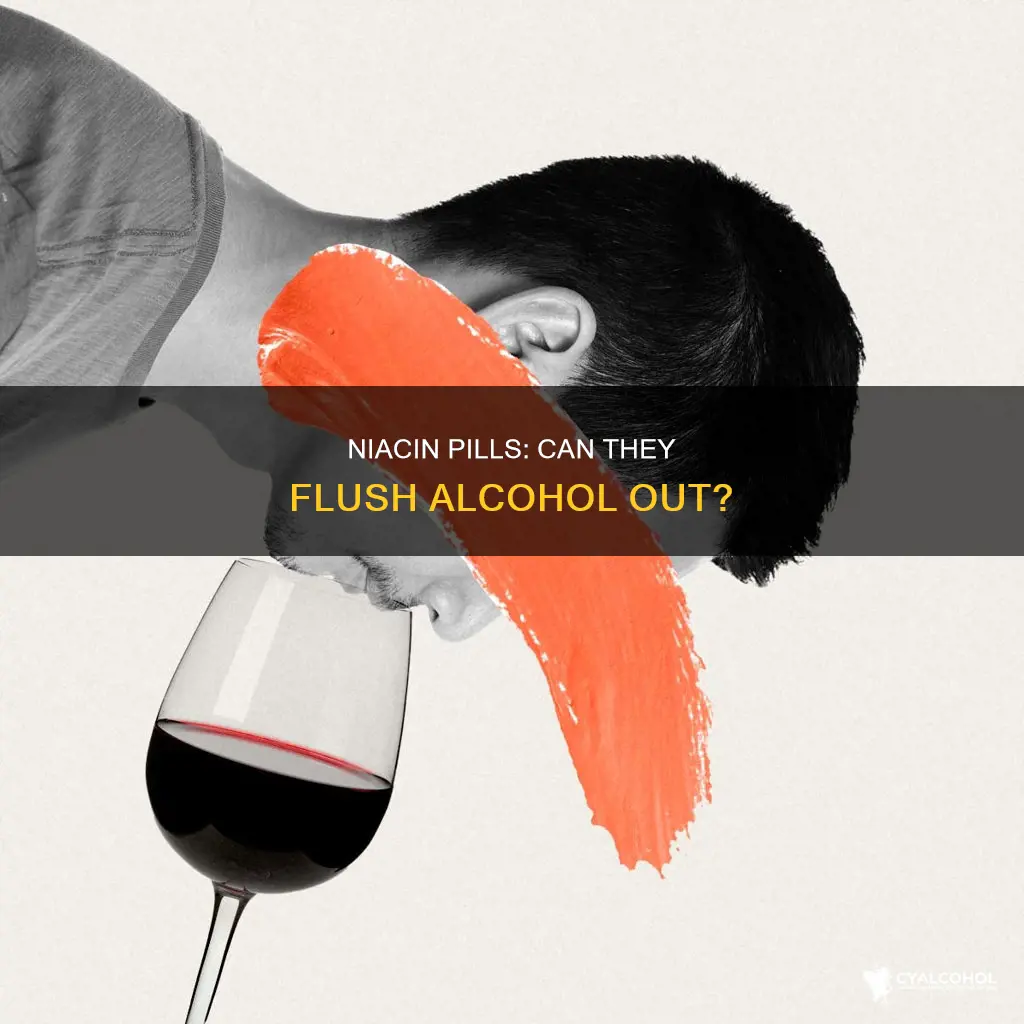 does niacin pills flush alcohol out of your system