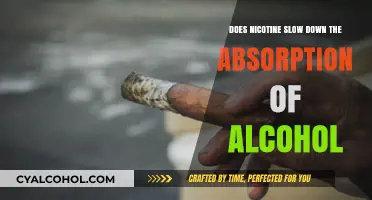 Nicotine and Alcohol: How Smoking Affects Alcohol Absorption Rate
