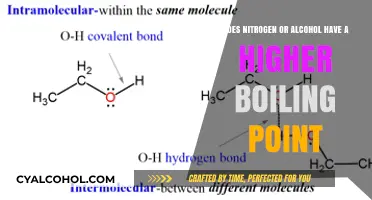 Boiling Point Battle: Alcohol vs. Nitrogen