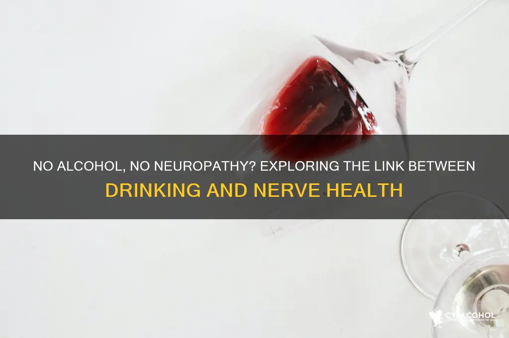 does no alcohol equal no neuropathy