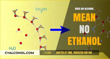No Alcohol Label: Does It Guarantee Zero Ethanol Content?
