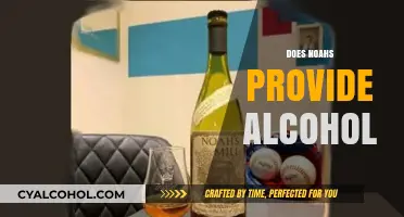 Does Noah's Offer Alcohol? Exploring Their Beverage Options and Policies