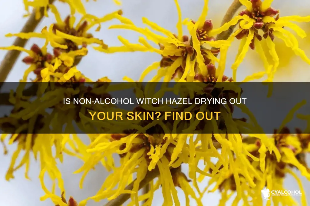 does non alcohol witch hazel drying