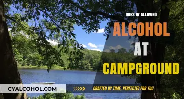 Can You Bring Alcohol to New York Campgrounds? Rules Explained