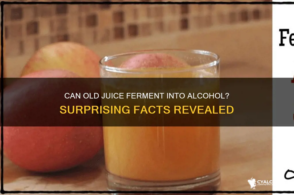 does old juice turn into alcohol