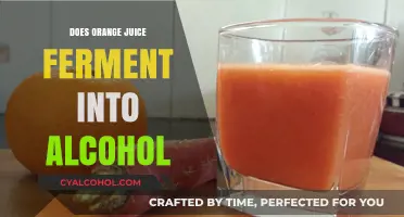 Can Orange Juice Turn into Alcohol? Fermentation Facts Revealed