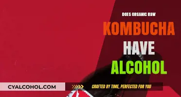 Organic Raw Kombucha: Unveiling Its Natural Alcohol Content and Benefits