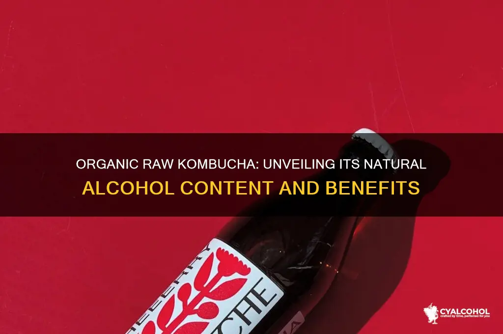 does organic raw kombucha have alcohol