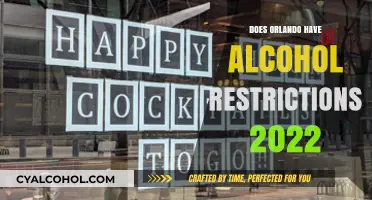 Orlando Alcohol Restrictions 2022: What You Need to Know