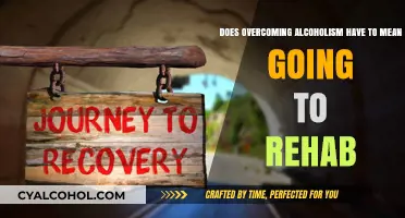 Overcoming Alcoholism: Rehab or Personal Journey?