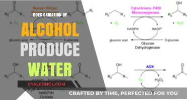 Does Alcohol Oxidation Yield Water? Unraveling the Chemical Process
