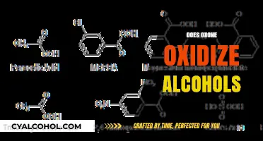 Oxone's Role in Oxidizing Alcohols: Mechanism and Applications Explained