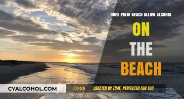 Palm Beach Alcohol Policy: Can You Drink on the Beach?
