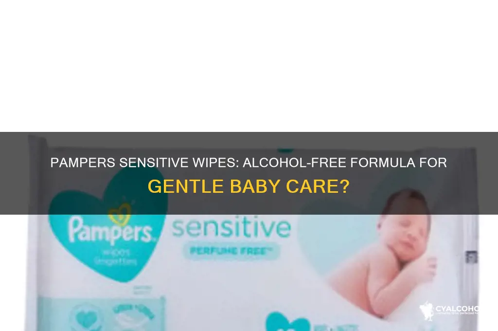 does pampers sensitive wipes have alcohol