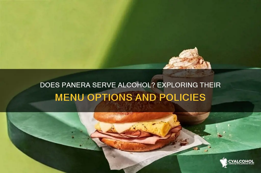 does panera have alcohol