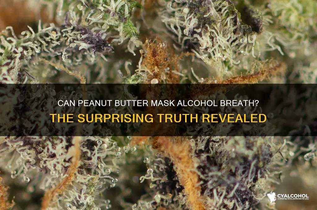 does peanut butter cover alcohol breath