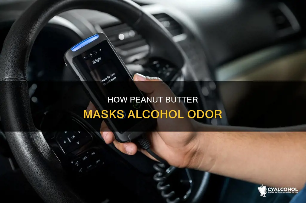 does peanut butter cover up the smell of alcohol