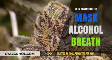 Can Peanut Butter Really Mask Alcohol Breath? The Truth Revealed