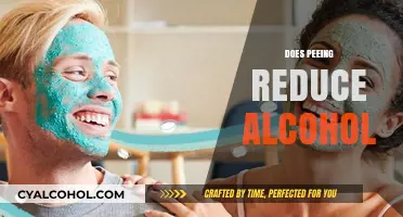 Does Peeing Reduce Alcohol Levels? Debunking the Common Myth