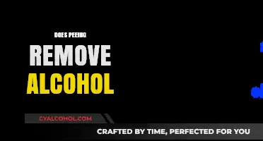 Does Peeing Remove Alcohol? Debunking the Myth and Facts