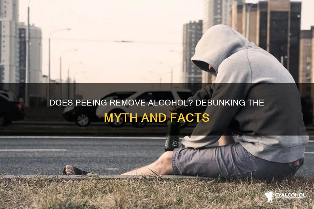 does peeing remove alcohol
