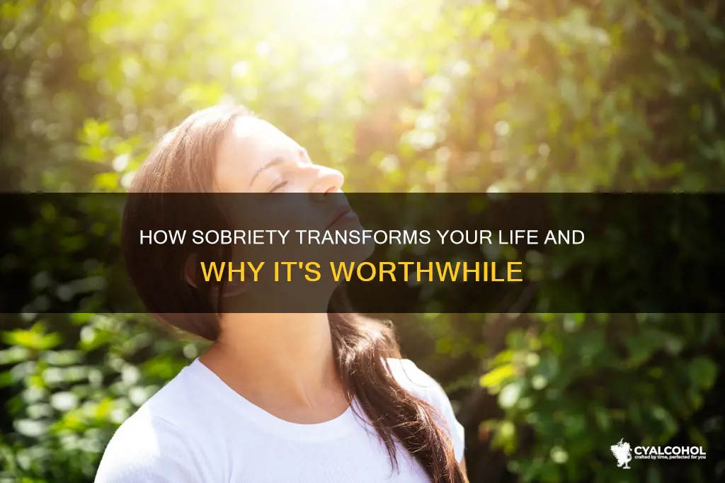 does people who give up alcohol better at living