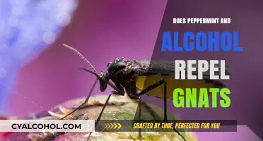 Peppermint and Alcohol: Effective Gnat Repellents or Myth?