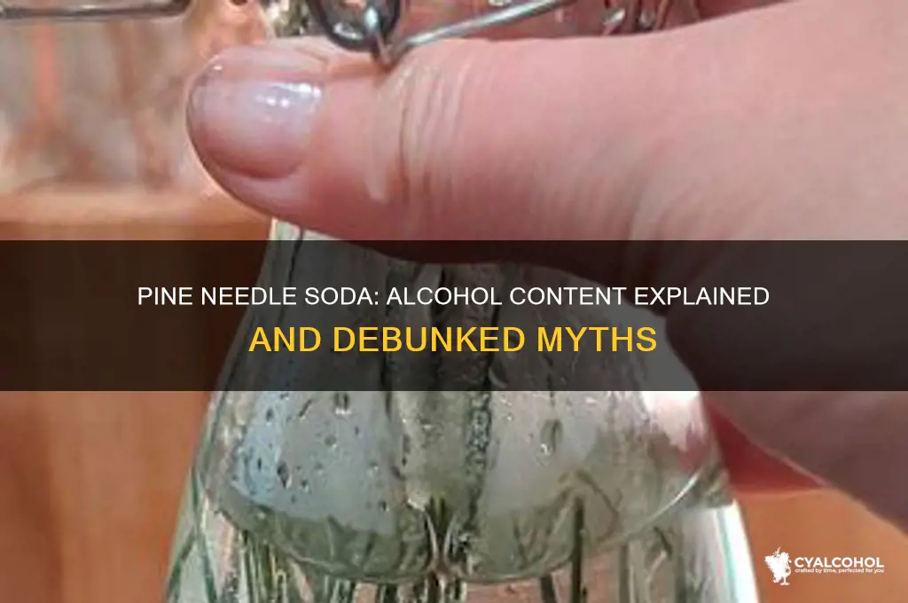 does pine needle soda have alcohol