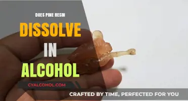 Pine Resin and Alcohol: Solubility Explained in Simple Terms