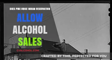 Pine Ridge Reservation's Alcohol Sales: Current Policies and Community Impact