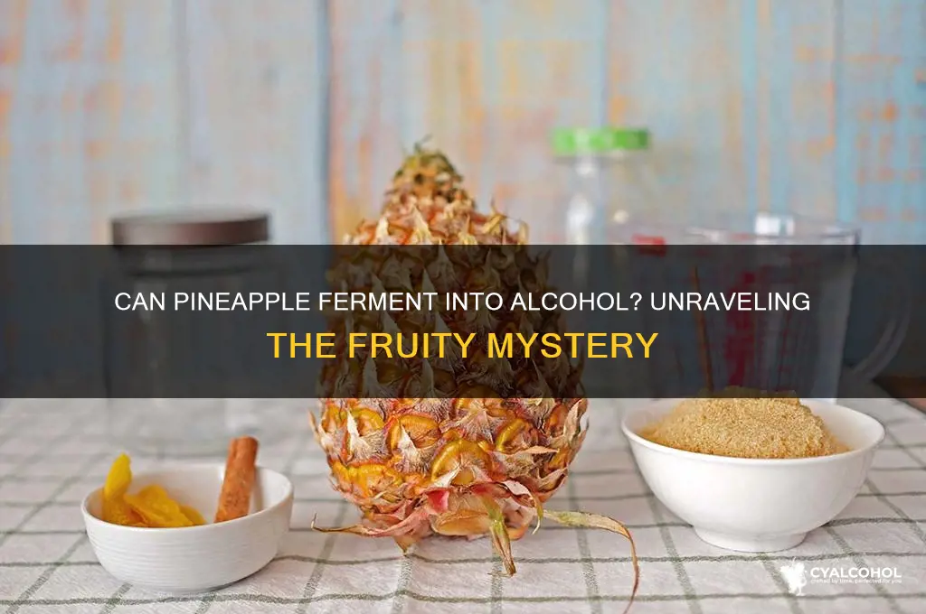 does pineapple become alcoholic