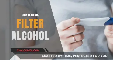 Placenta and Alcohol: Does It Filter or Pass to Baby?