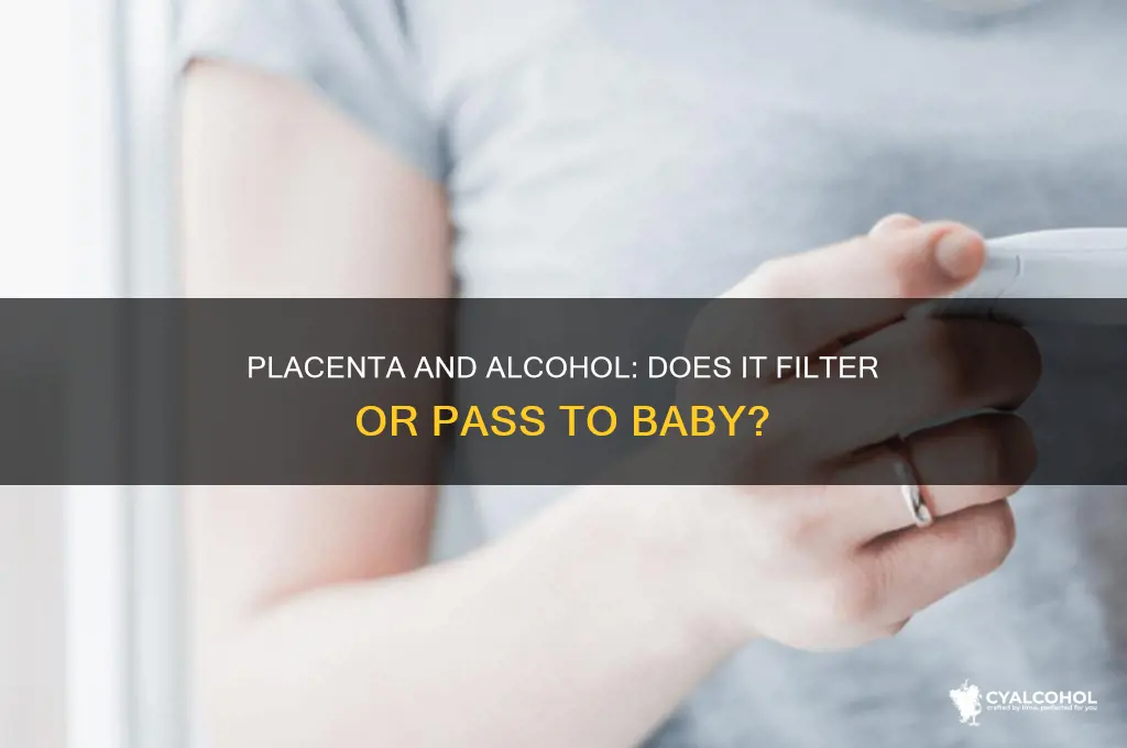 does placenta filter alcohol