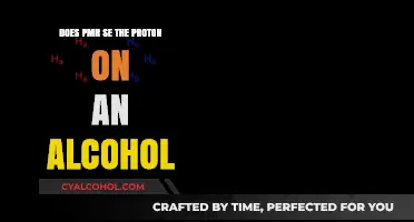 Does PMR Detect Protons on Alcohol Molecules? A Detailed Analysis