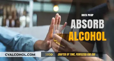 Can Poop Absorb Alcohol? Debunking Myths and Understanding Science