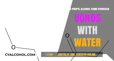 Propyl Alcohol and Water: Exploring Hydrogen Bond Formation