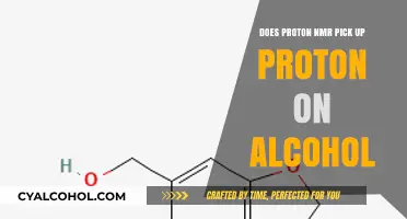 Proton NMR Detection of Alcohol Protons: Insights and Applications
