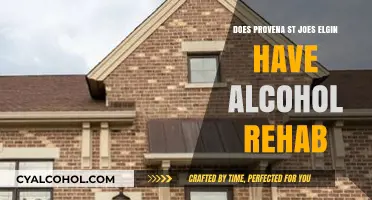 Provena St. Joseph Elgin: Alcohol Rehab Services Available?