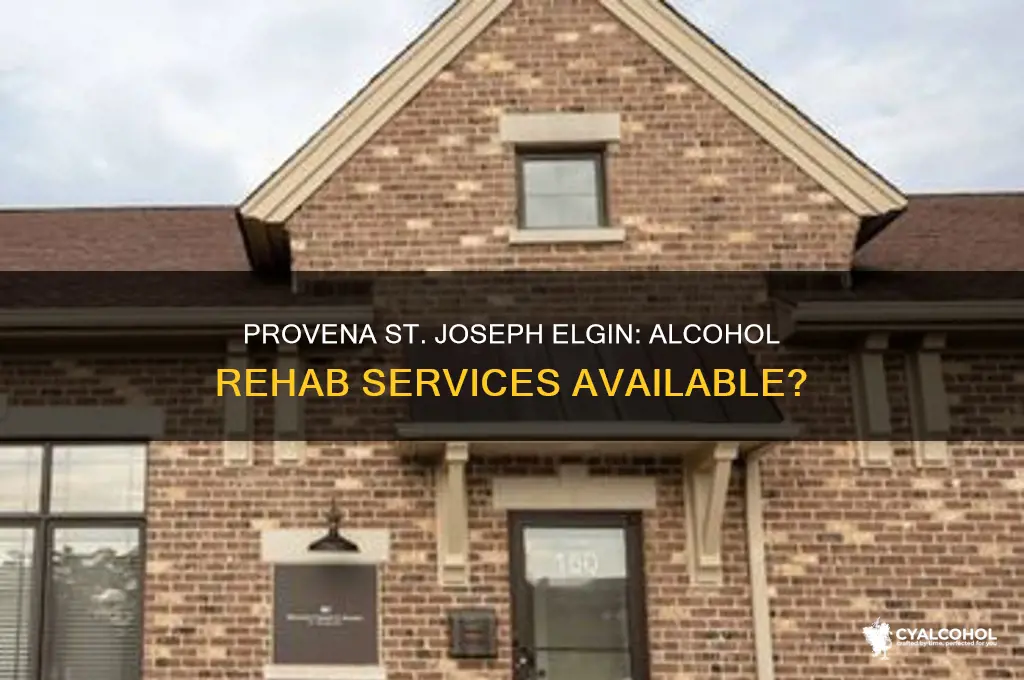 does provena st joes elgin have alcohol rehab