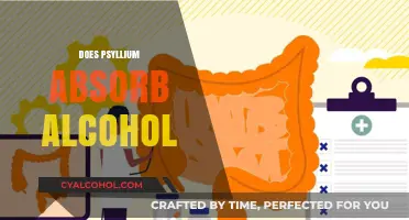Does Psyllium Absorb Alcohol? Exploring Its Role in Detox and Health